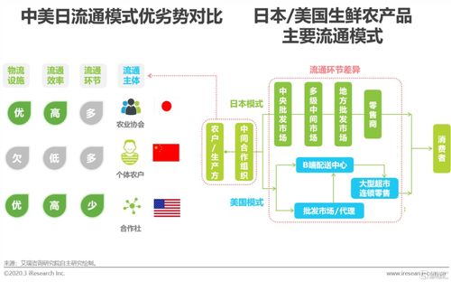 回顧與展望 2020年中國生鮮農產品供應鏈研究報告解析